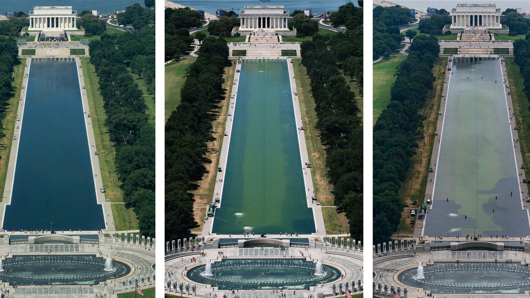 La chapucera renovación de la piscina del Monumento a Lincoln: Trump gasta 14M y las algas vuelven tras dos semanas