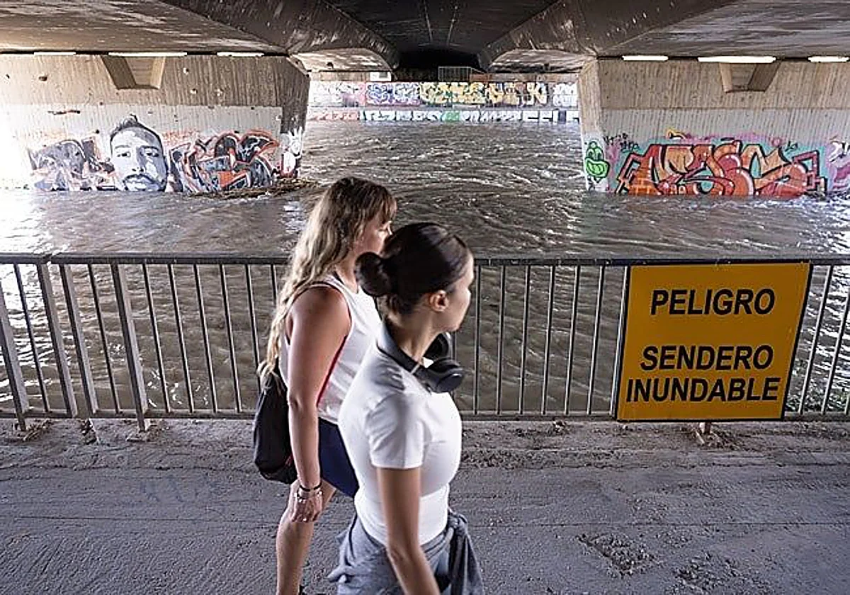 La ingeniería reescribe la seguridad del Guadalmedina: ¿cuál es el riesgo real de riada?