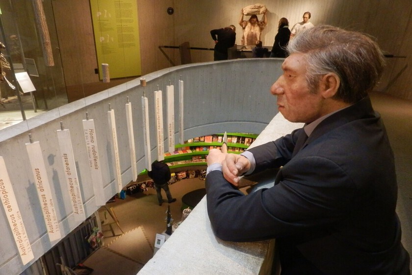 Durante miles de años, neandertales y homo sapiens trataron de aparearse insistentemente. La historia tenía otra idea