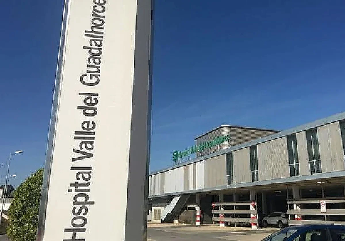 Three-year-old girl drowns in Malaga swimming pool