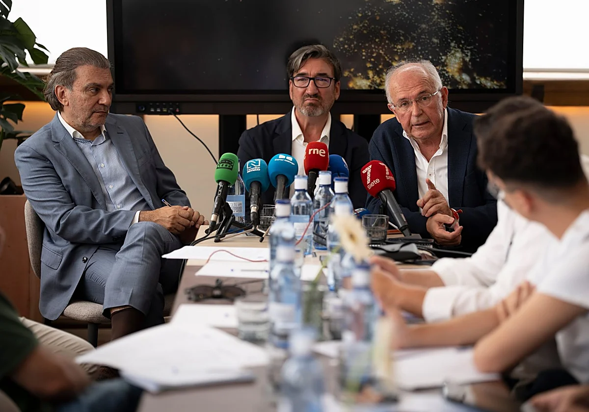 BlueBay insiste en hacerse cargo del Málaga y promete fuertes inversiones