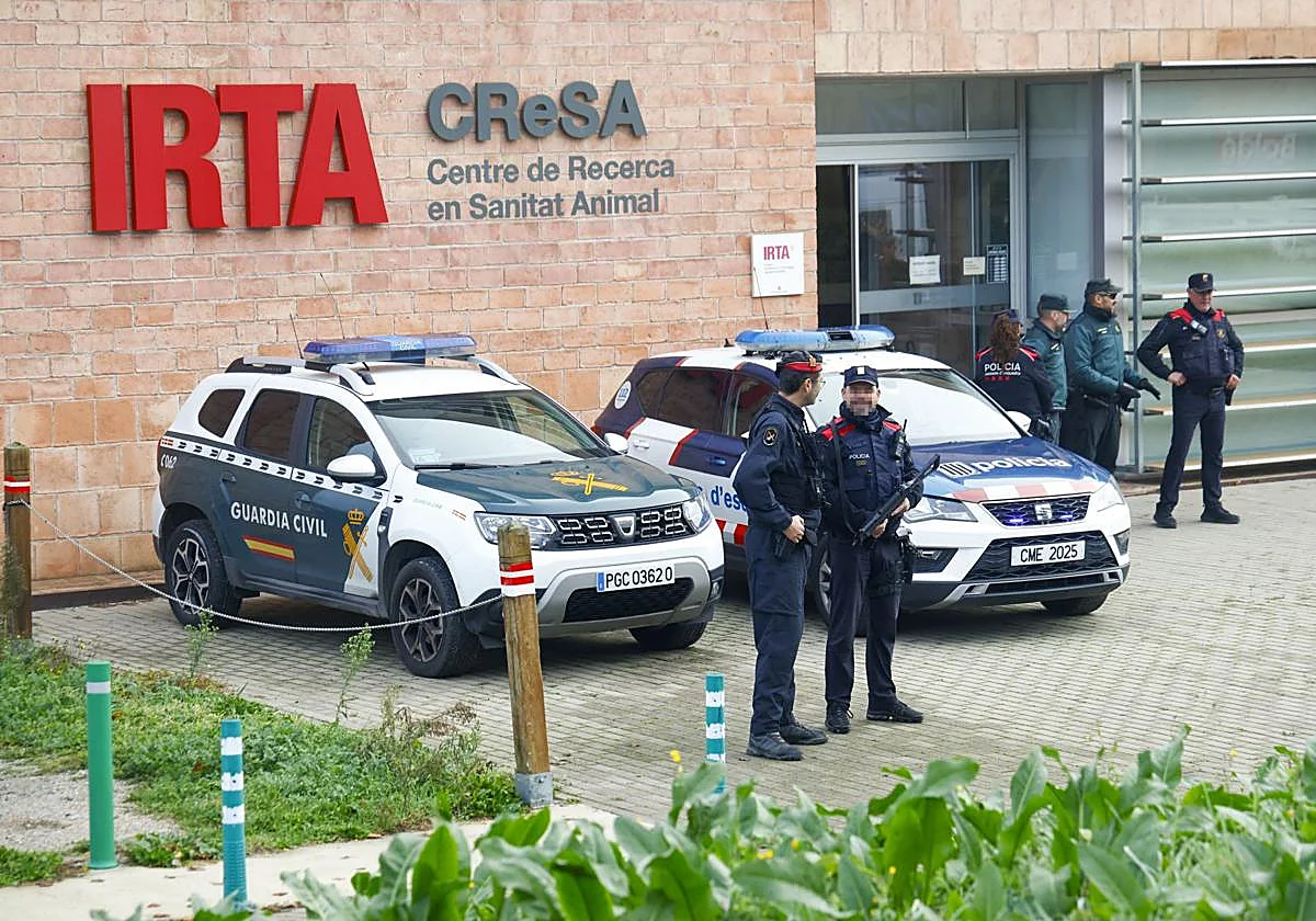 La auditoría externa avala la seguridad y los protocolos del Irta-CReSA frente a la peste porcina africana