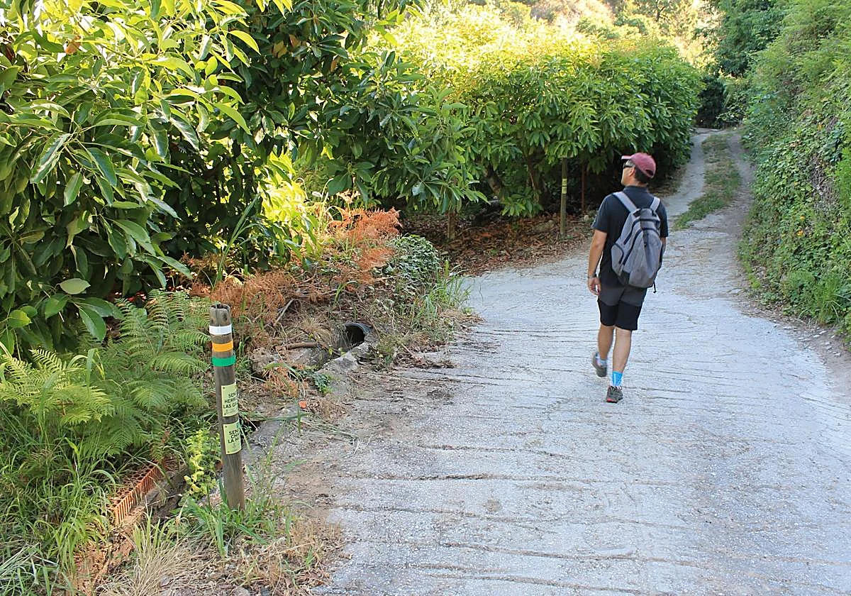 Así puedes seguir haciendo senderismo en Málaga cuando llega el calor