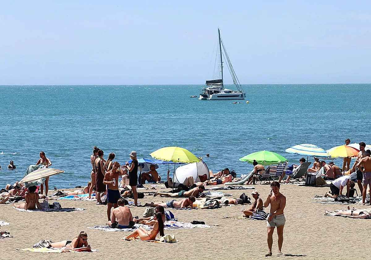 ¿Habrá medusas y natas en las playas de Málaga este verano?