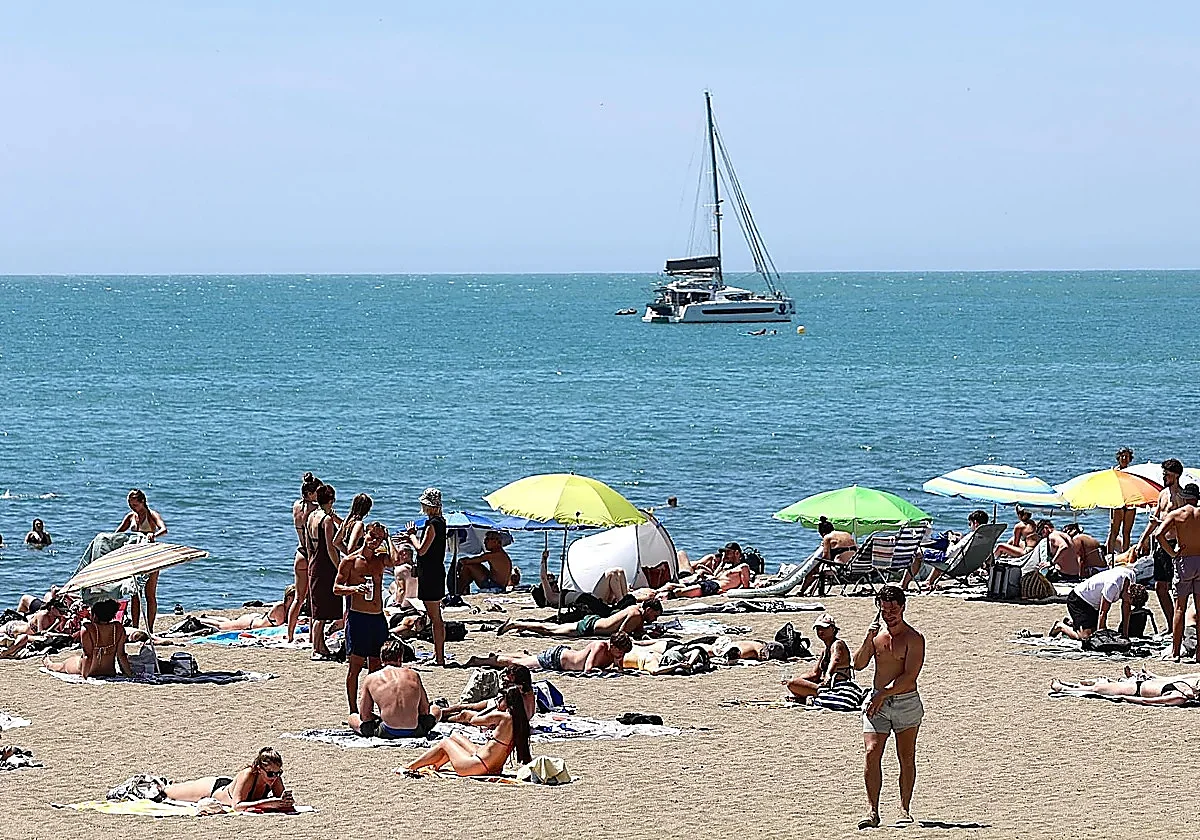 Will there be jellyfish and sea scum on Malaga province's beaches this summer?