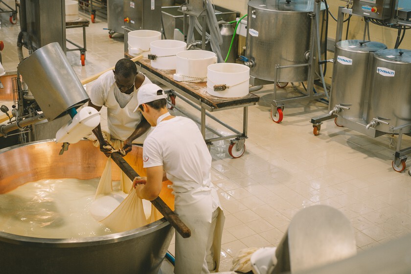 La fiebre del queso cottage está siendo tan salvaje que se ha convertido en un dolor de cabeza hasta para Mercadona: la industria no está lista para TikTok