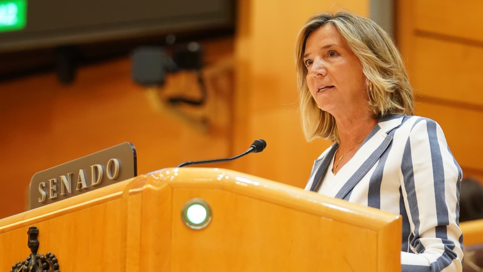 El Senado aprueba la moción que exige a Sánchez elecciones con la ausencia de Junts y el voto en contra del PNV