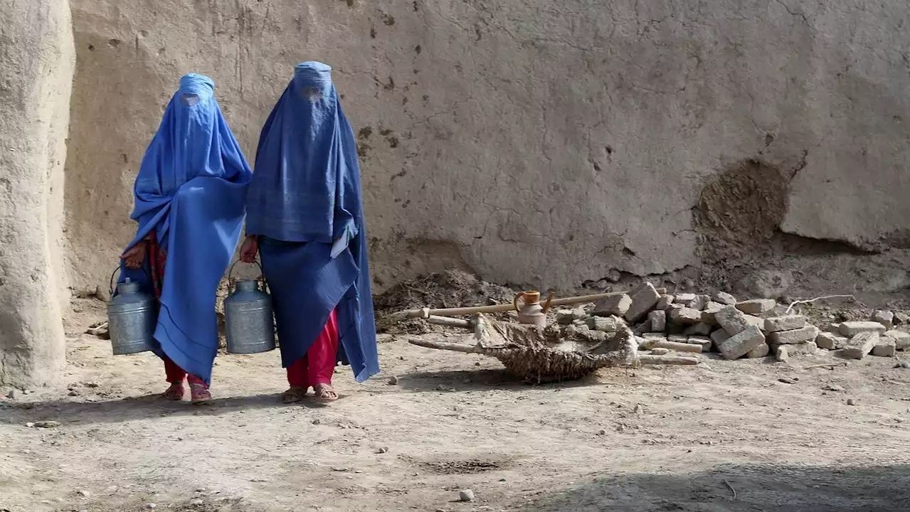 Las afganas juzgan la visita de los talibanes a Bruselas: "Todo acercamiento es una traición al sufrimiento de las mujeres"