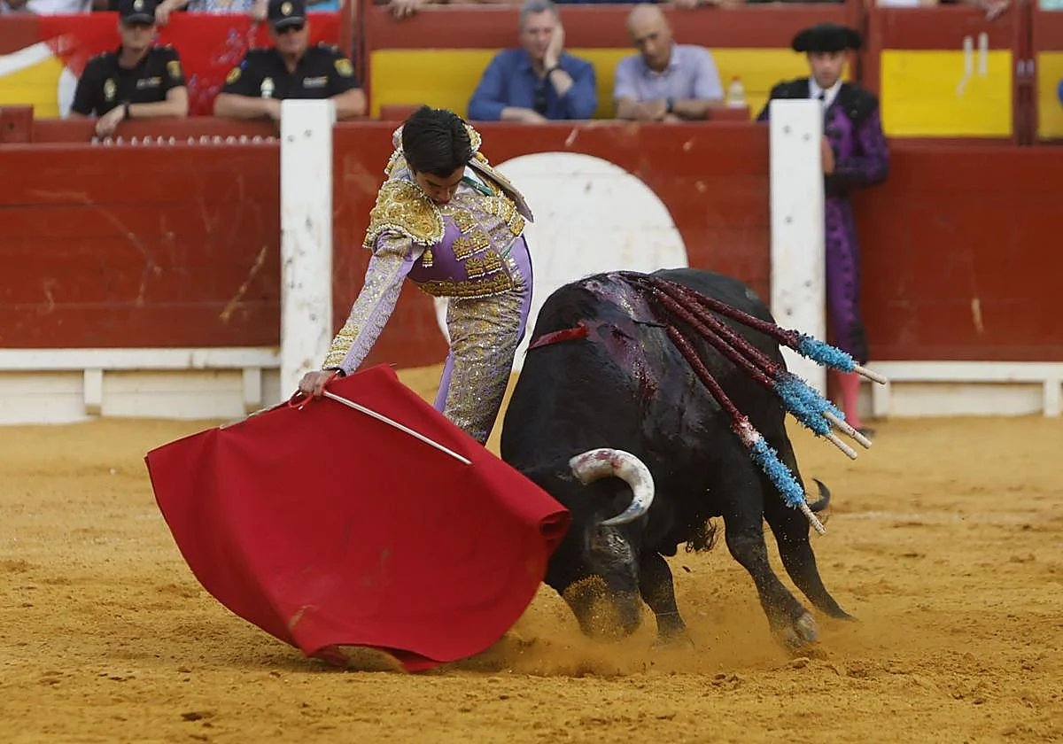 Cuidado con los toros