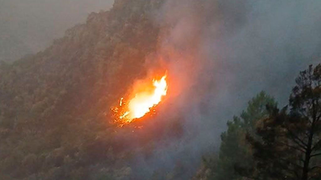Alerta máxima en la provincia de León con los incendios: tres nuevos fuegos declarados de nivel 1 en apenas una hora