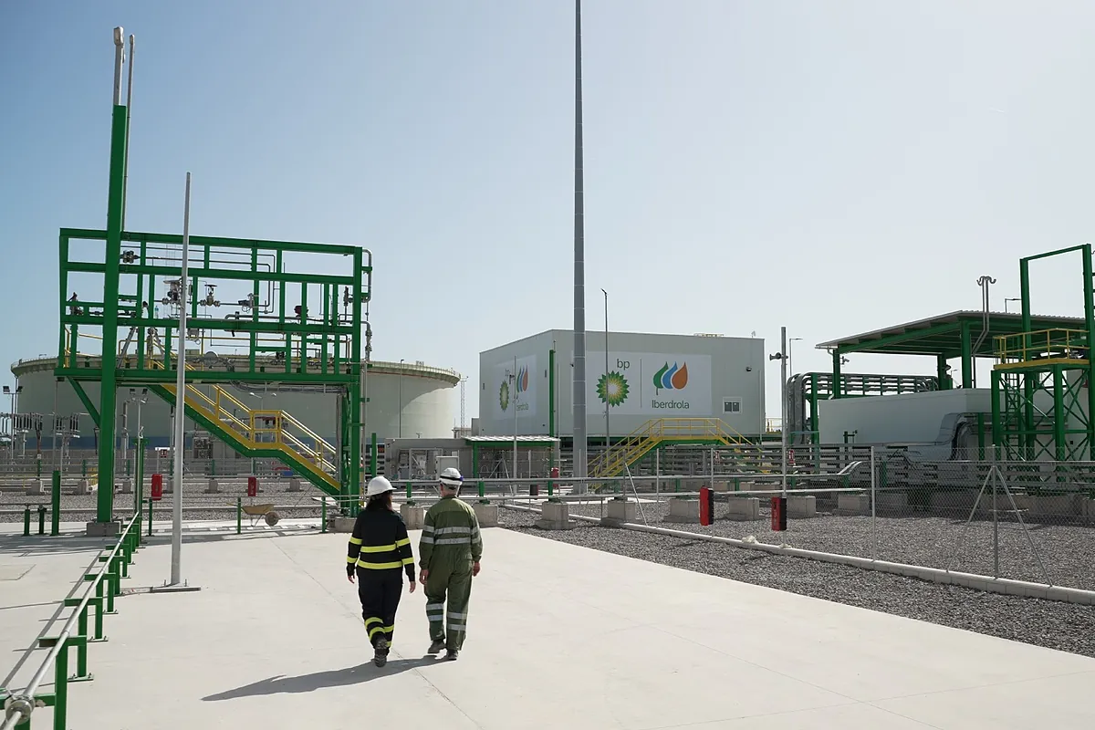 Iberdrola y BP reciben 221 millones para su proyecto de hidrógeno verde
