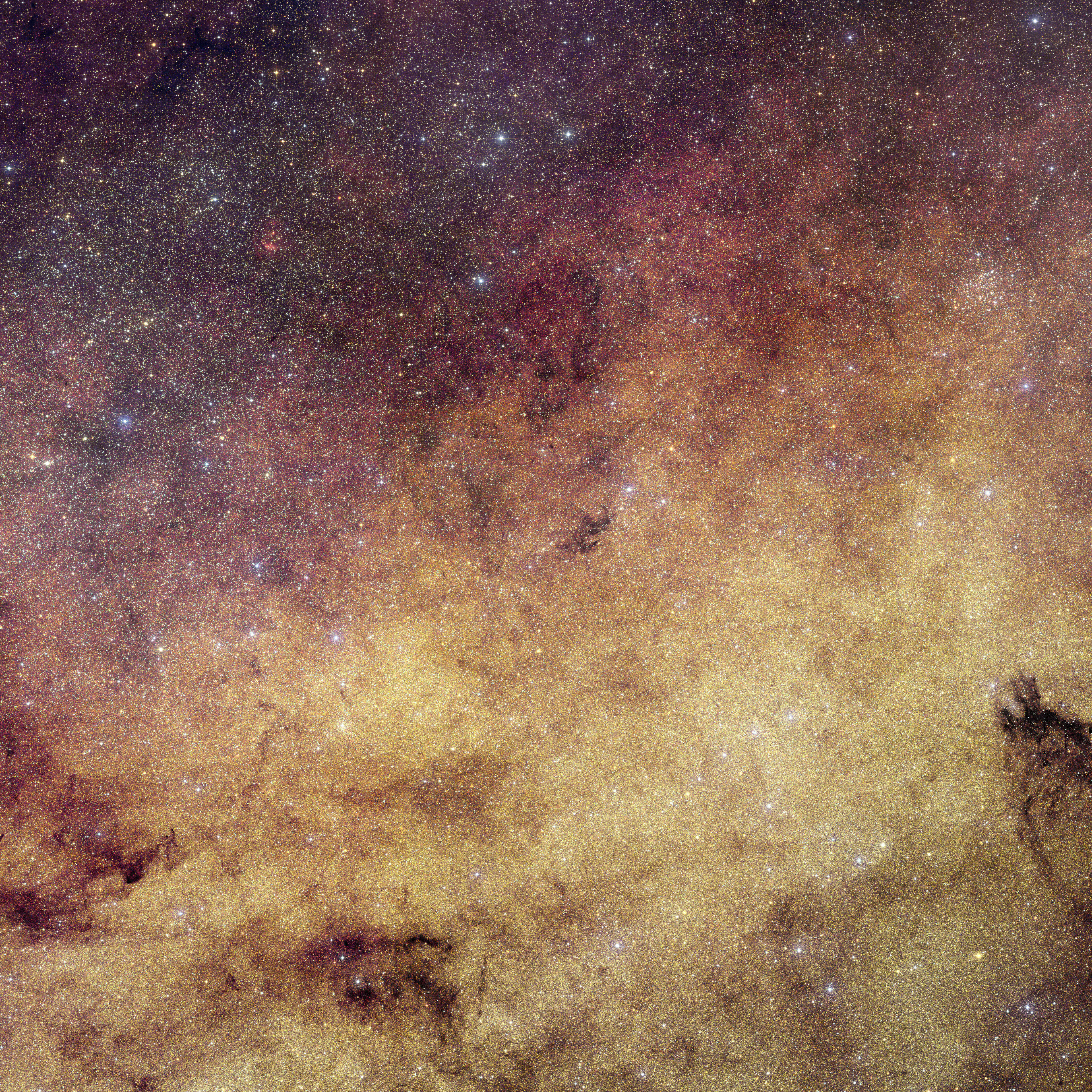 Euclid Sees Heart of Milky Way