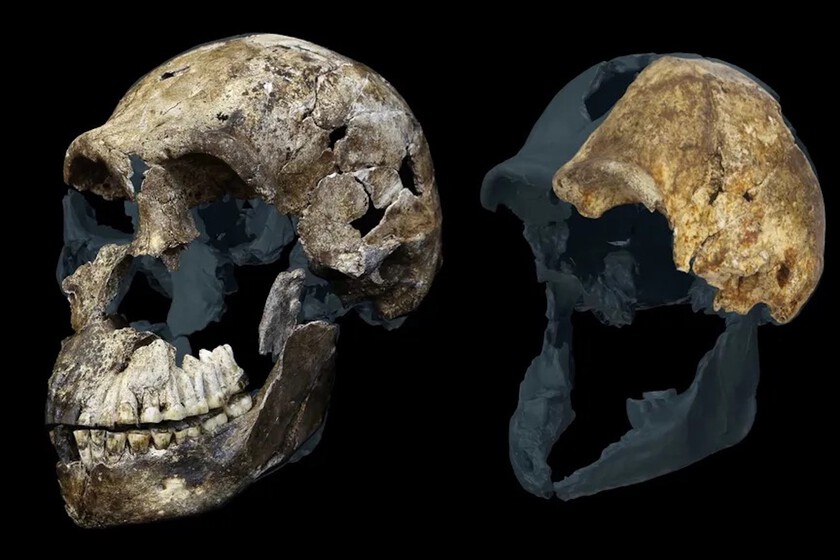 El yacimiento fósil más controvertido de la evolución humana se ha vuelto aún más desconcertante: ¿Por qué solo hay mujeres?