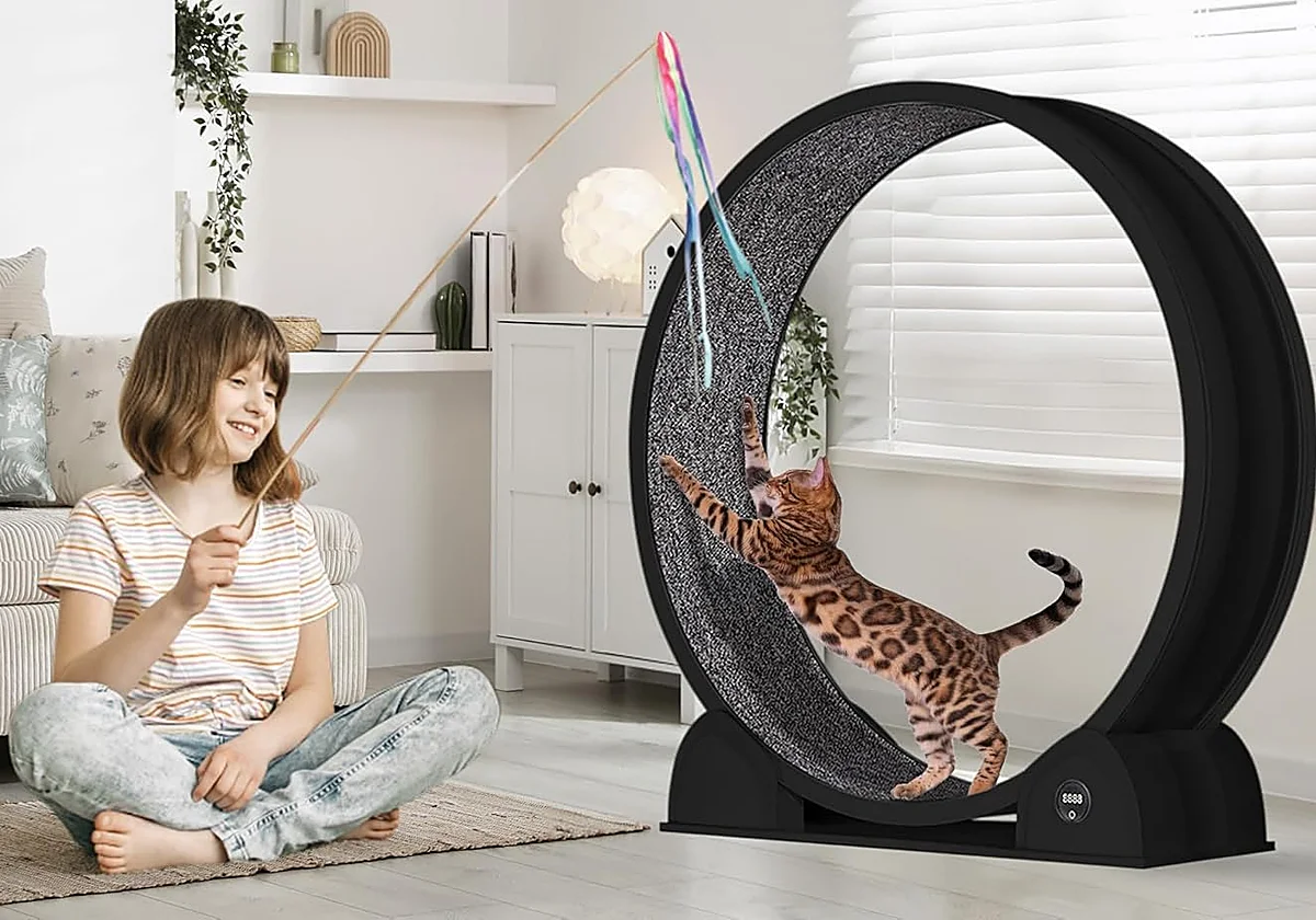 Las mejores ruedas de ejercicio para que tu gato se mantenga activo en casa