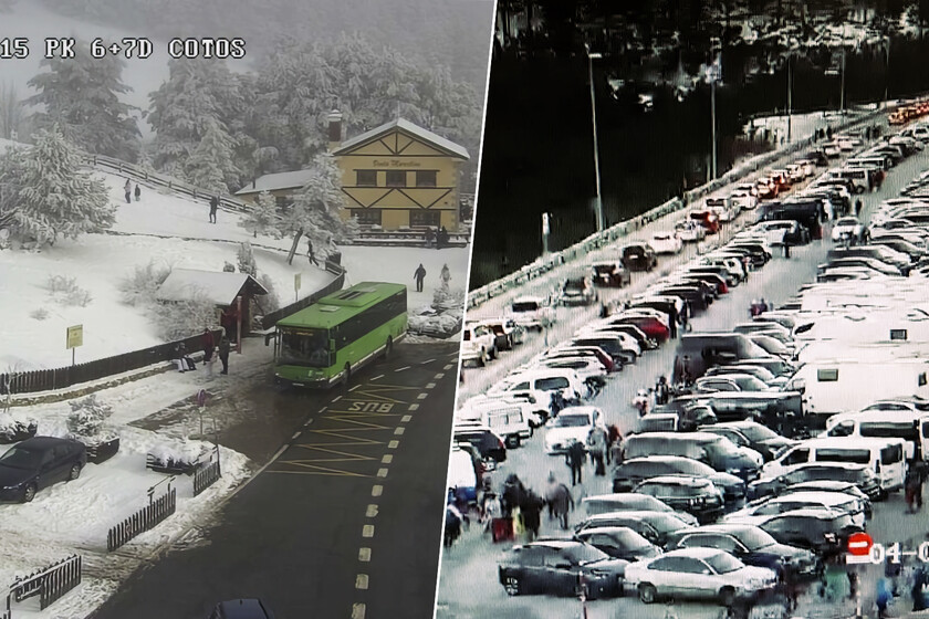 Cada año miles de madrileños suben al Puerto de Cotos para ver algo excepcional. Y cada año se quedan atrapados