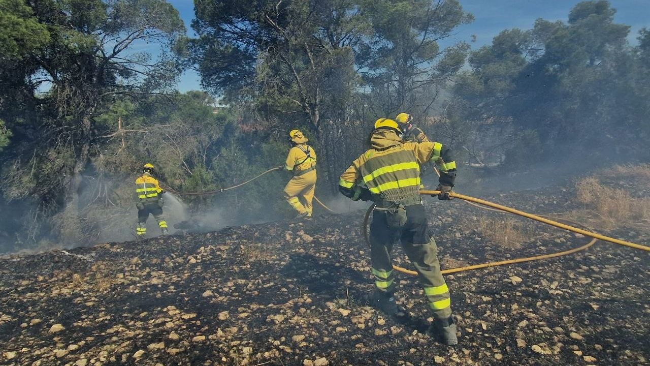 El viento complica las labores de extinción del gran incendio forestal de Leciñena: "Hay zonas que se podría descontrolar"