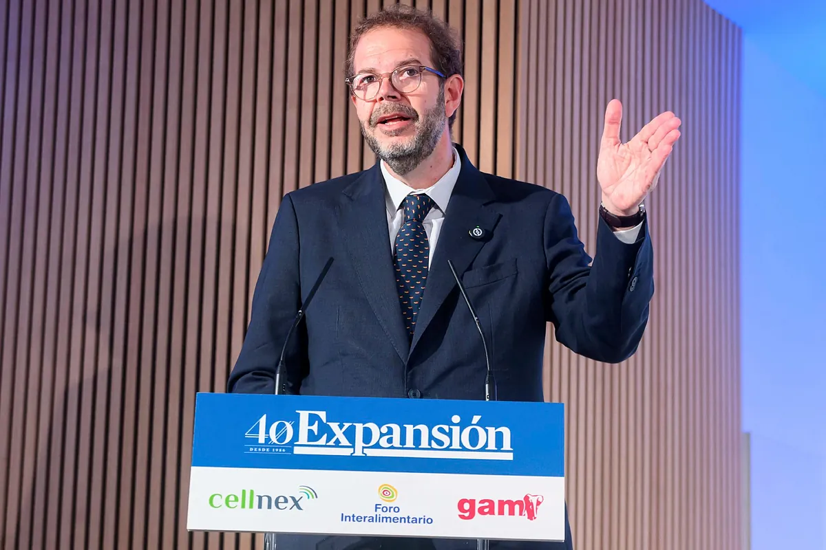 "Orden, dirección y ambición" para recuperar la industria española
