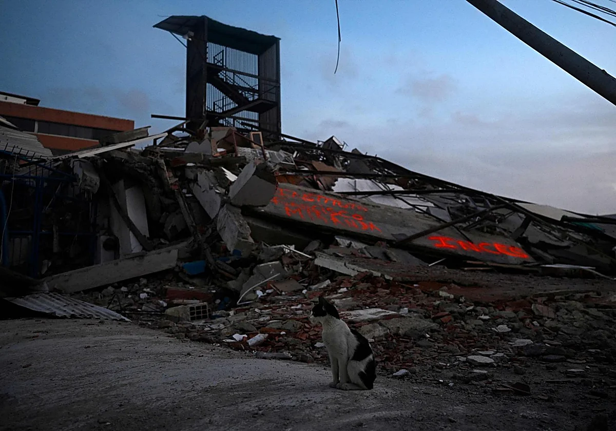 Exteriores eleva a 27 los españoles fallecidos en los terremotos de Venezuela