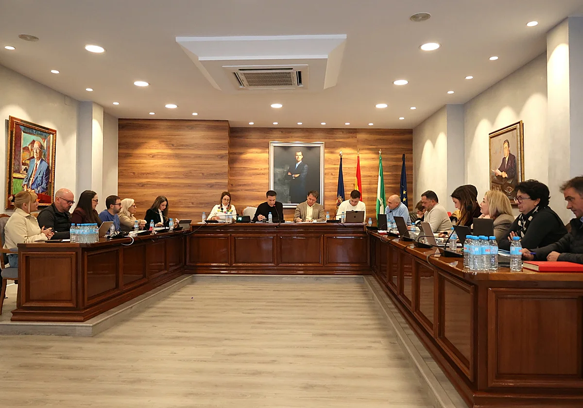 Torrox refuerza la limpieza y aprueba las mayores cuentas de su historia