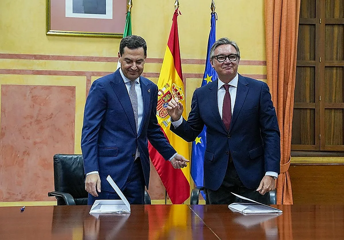 Juanma Moreno voted in as Andalusian president with support of Vox