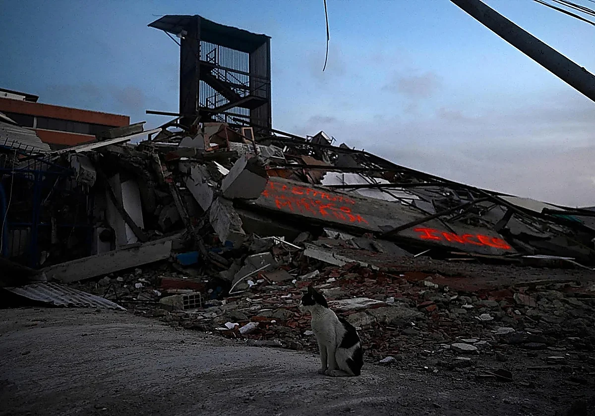 Government raises number of Spaniards killed in Venezuela double earthquake to 27