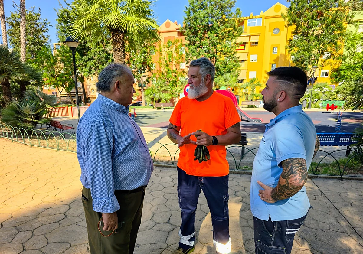 Vélez-Málaga intensifica la desratización y desinsectación en varios puntos del municipio