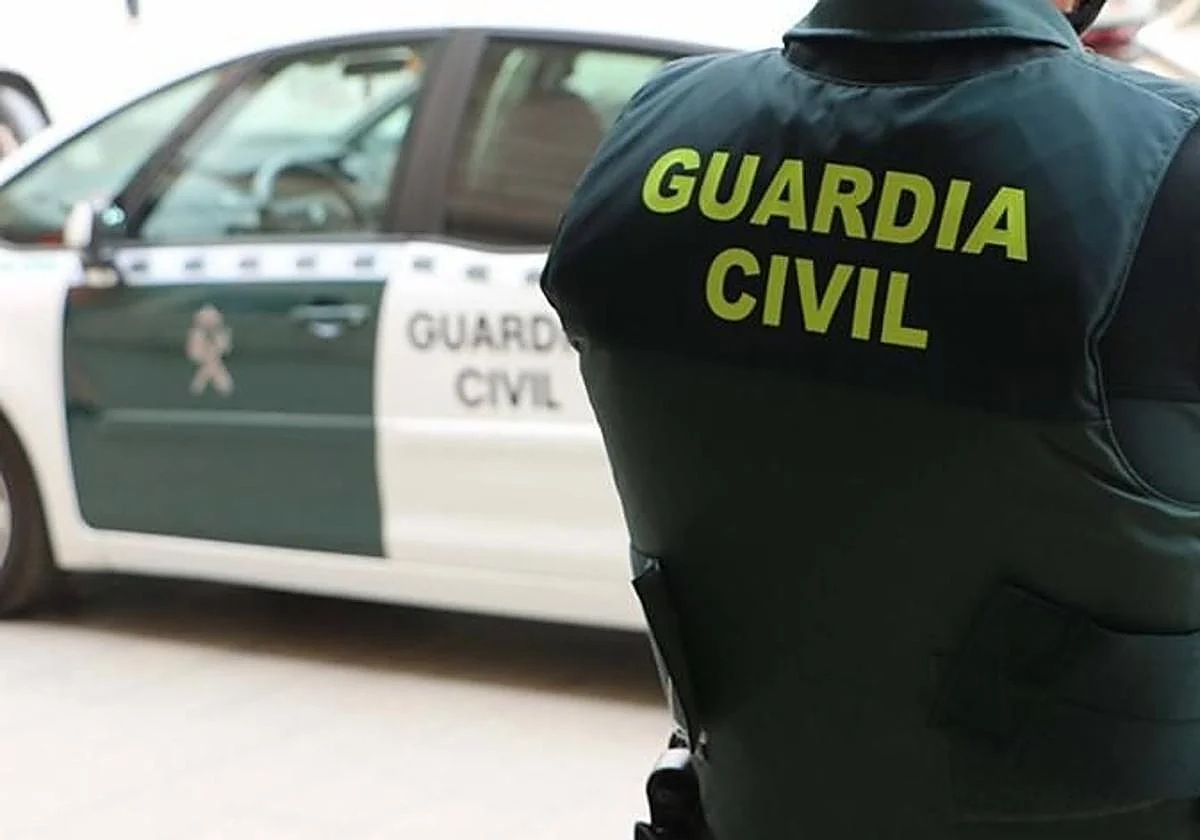 Detenido el presunto autor de matar a disparos a cinco perros en una finca de la comarca de Toledo