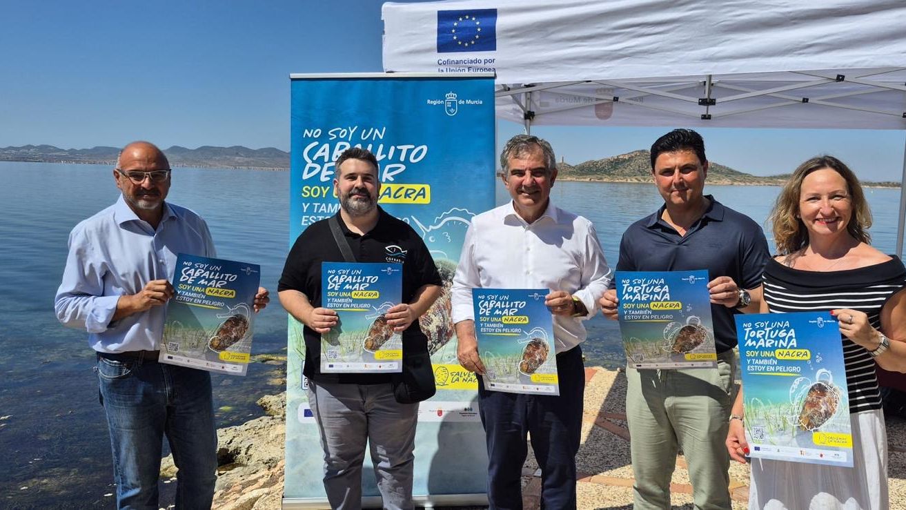 San Javier se configura como punto estratégico del plan regional de recuperación de la nacra en el Mar Menor