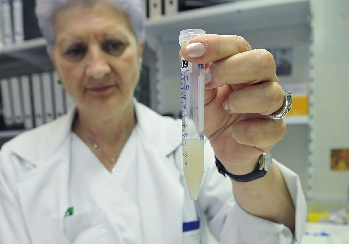 Por qué la calidad del semen de los hombres del norte duplica a la de los del sur