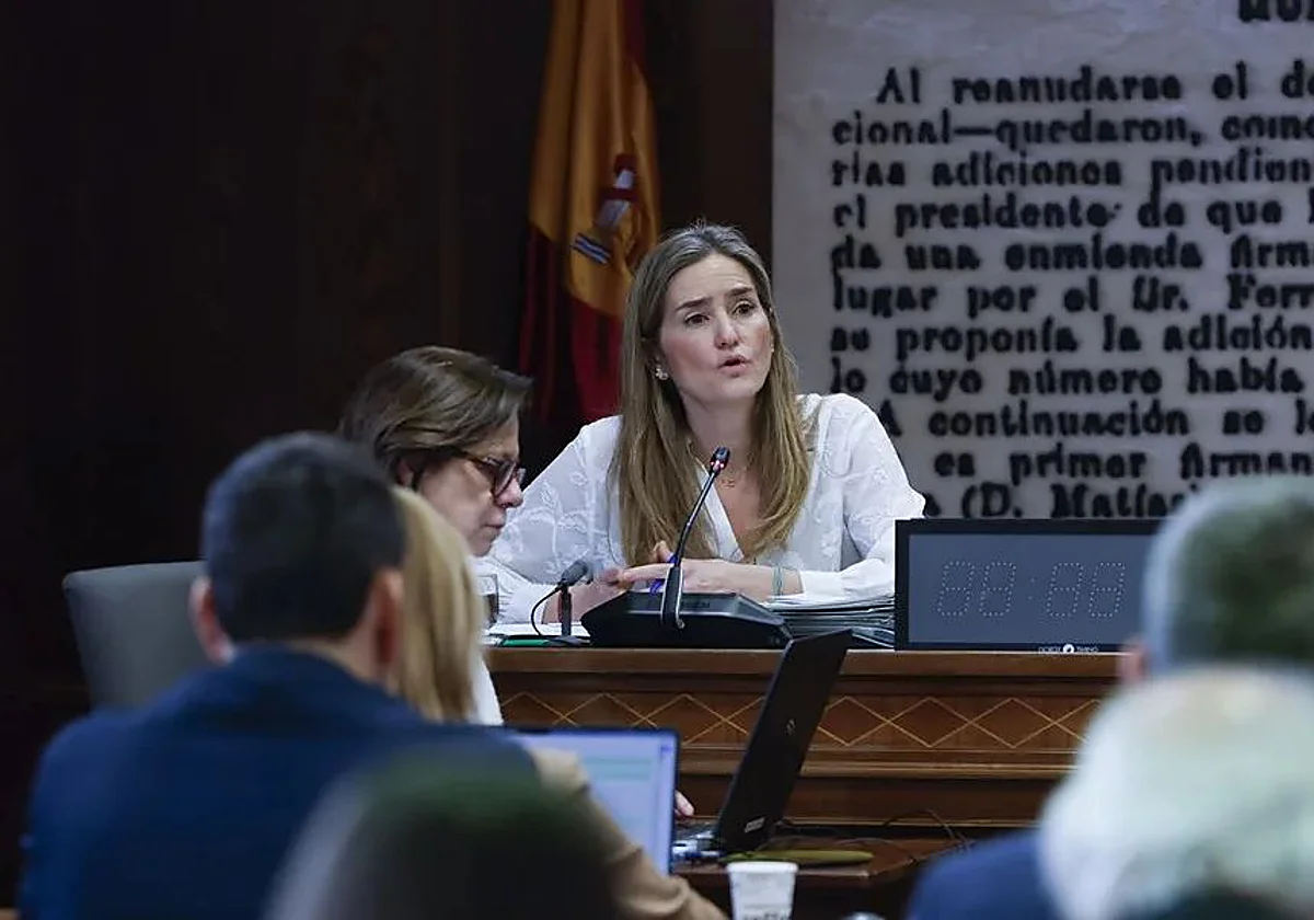 Aagesen comparece hoy ante la comisión de investigación de la SEPI para aclarar el rescate de Tubos Reunidos