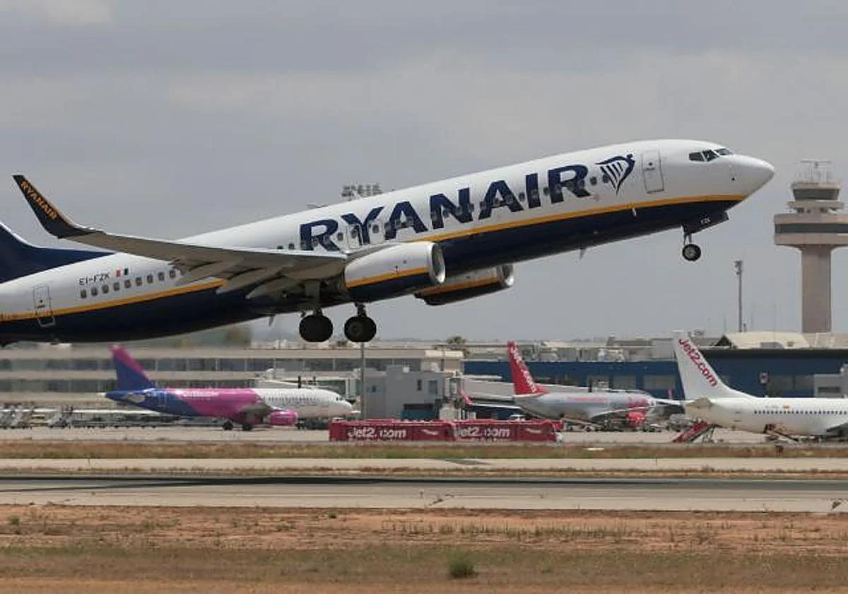 Briton arrested after trying to kiss air steward on flight to Mallorca