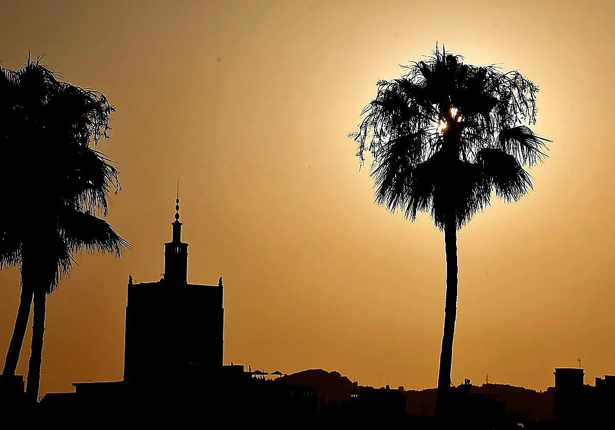 Malaga activates weather warnings as dreaded terral wind returns with high temperatures