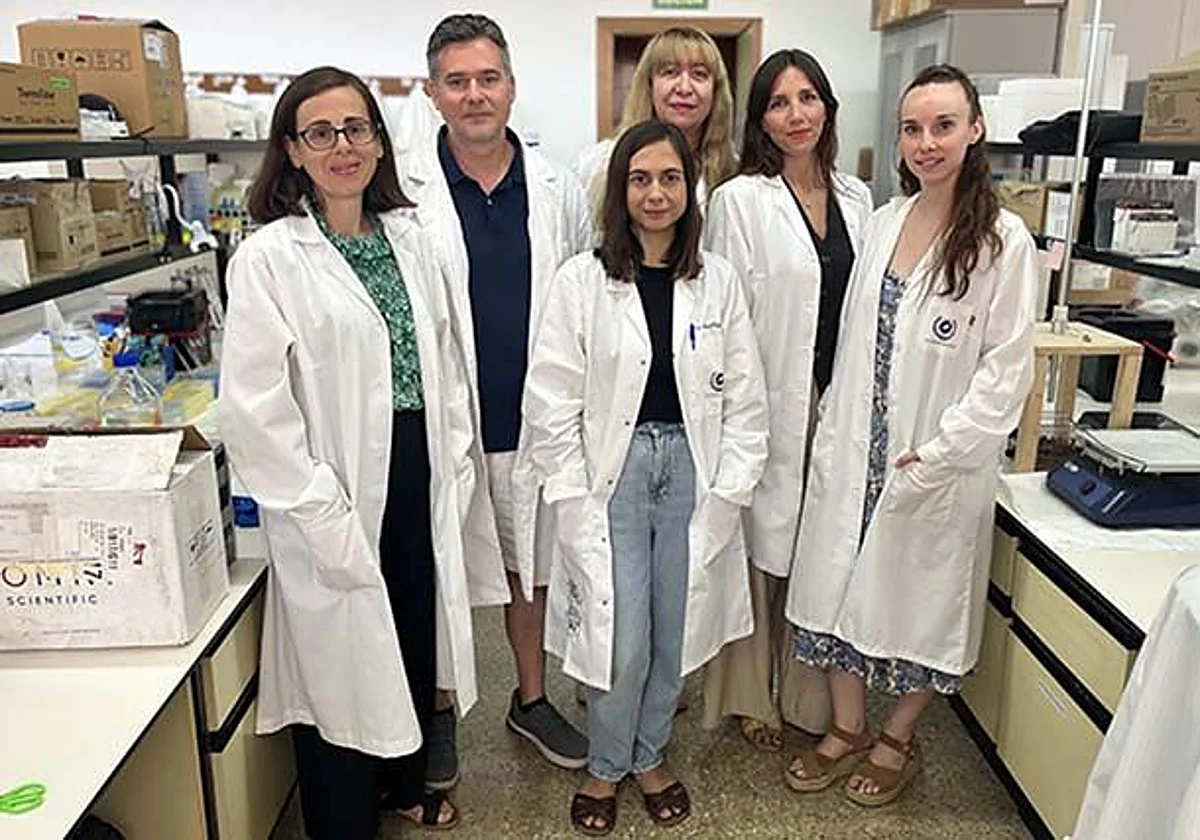 La UMA demuestra cómo la disfunción de la grasa corporal acelera el deterioro cerebral en el alzhéimer