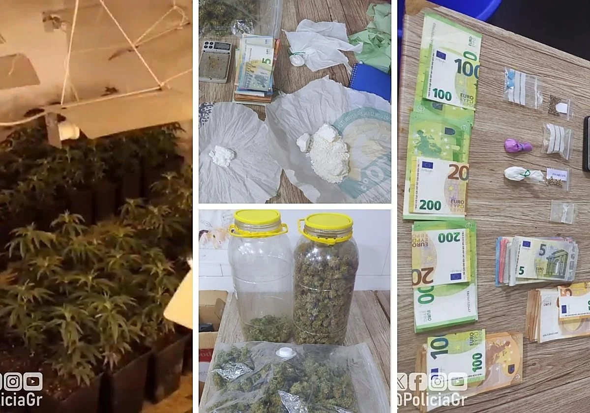 El kebab de los horrores y la droga en Granada: insectos, marihuana, cocaína, comida sin etiquetar y un perro peligroso