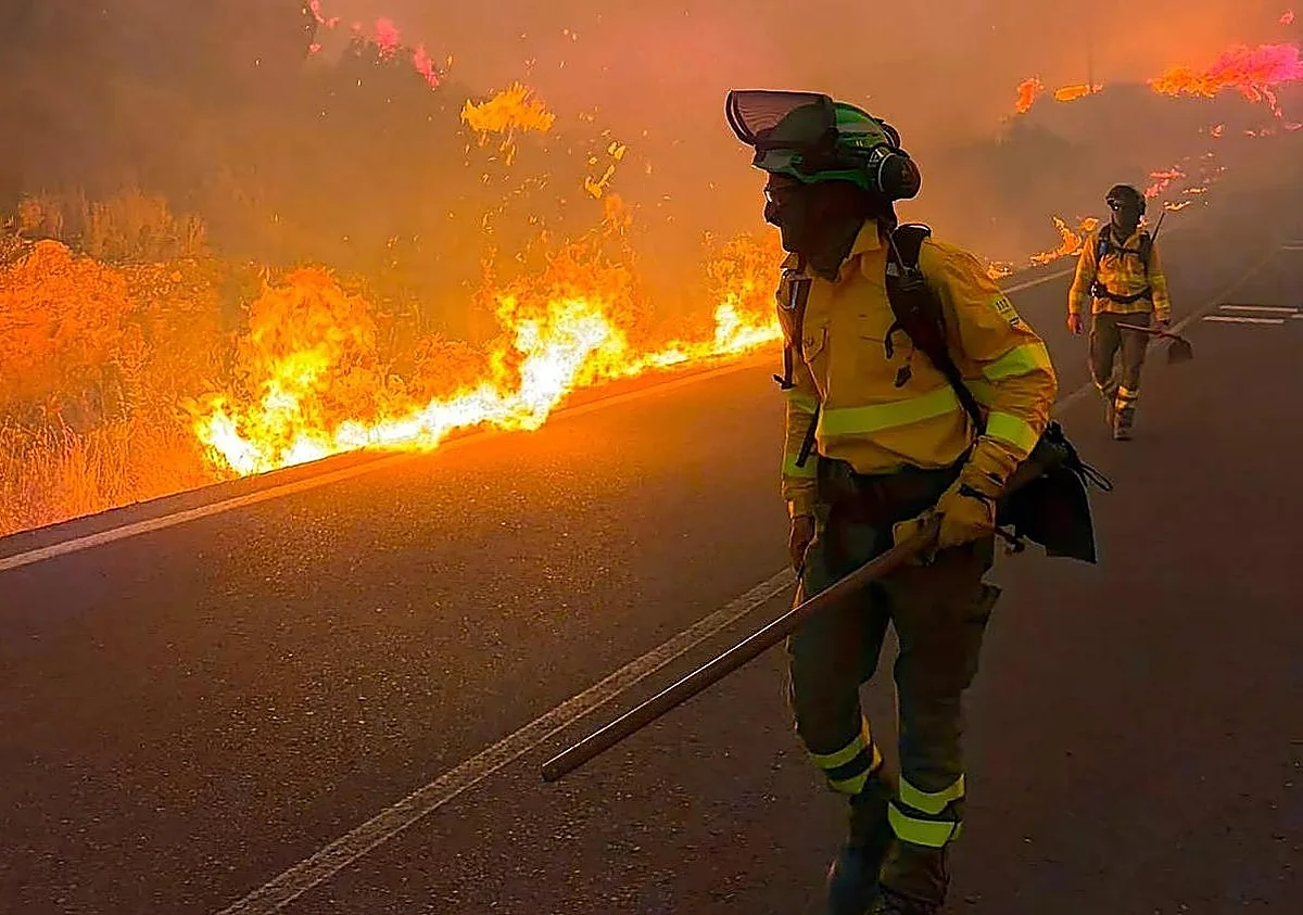 Seis fallecidos en un incendio forestal en Almería, algunos hallados dentro de sus coches calcinados