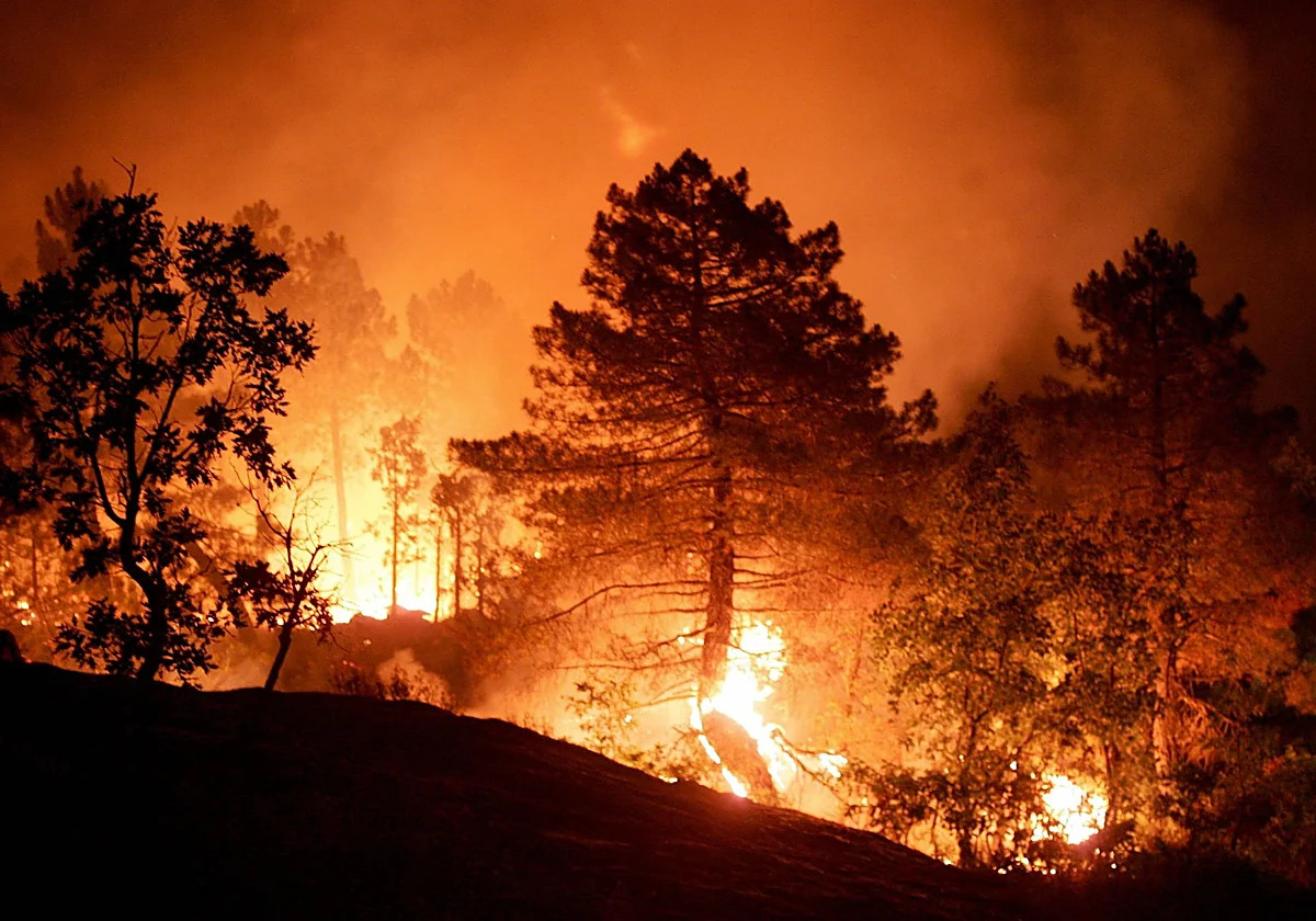 El incendio forestal de Almería ya es el segundo con más muertos en la historia de España