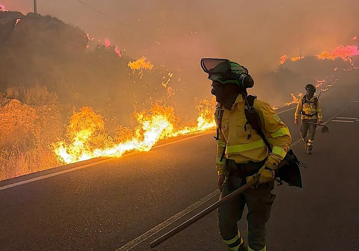 Eleven dead in wildfire in Almeria: “It is an unprecedented tragedy”