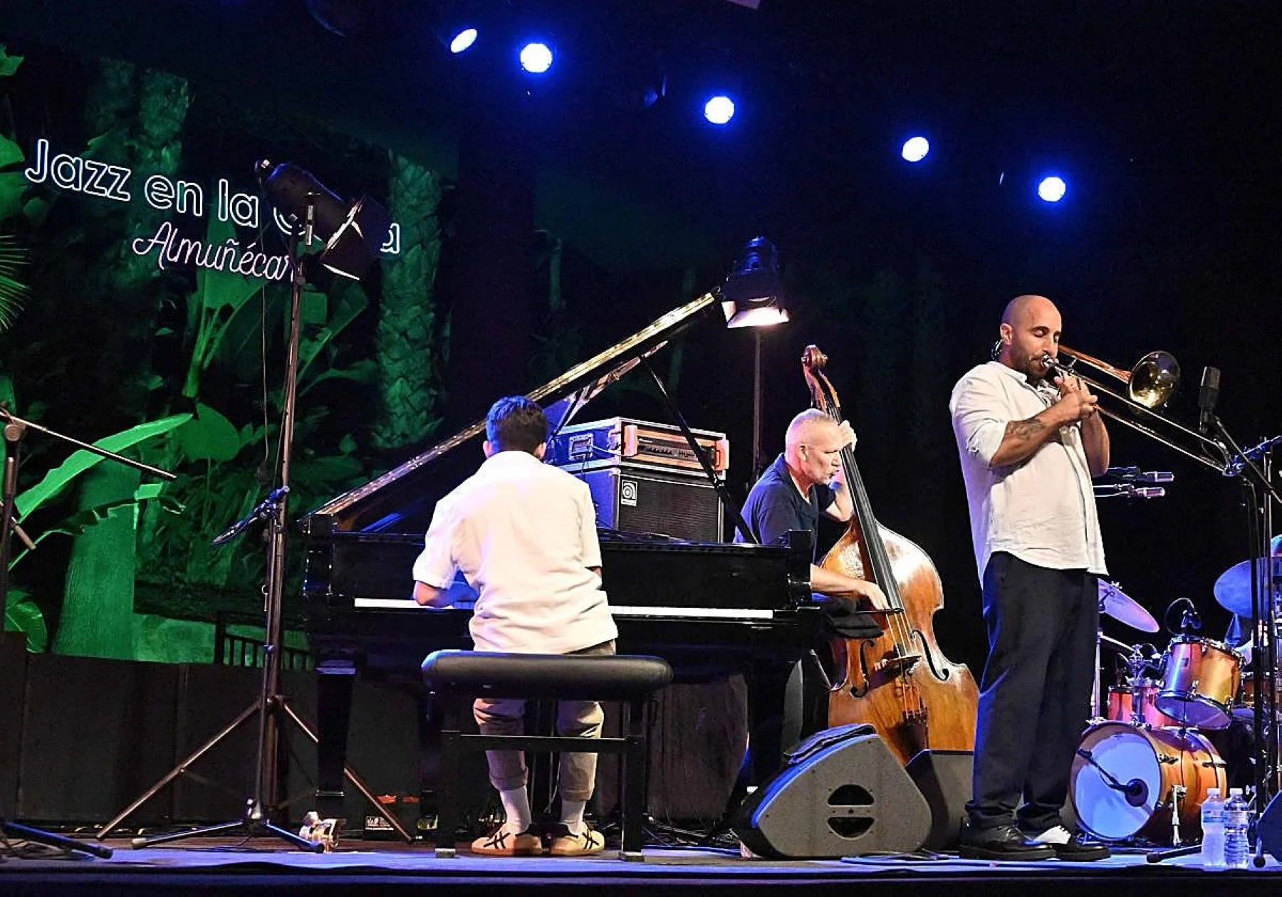 Summer nights are made for jazz at Almuñécar's botanical park