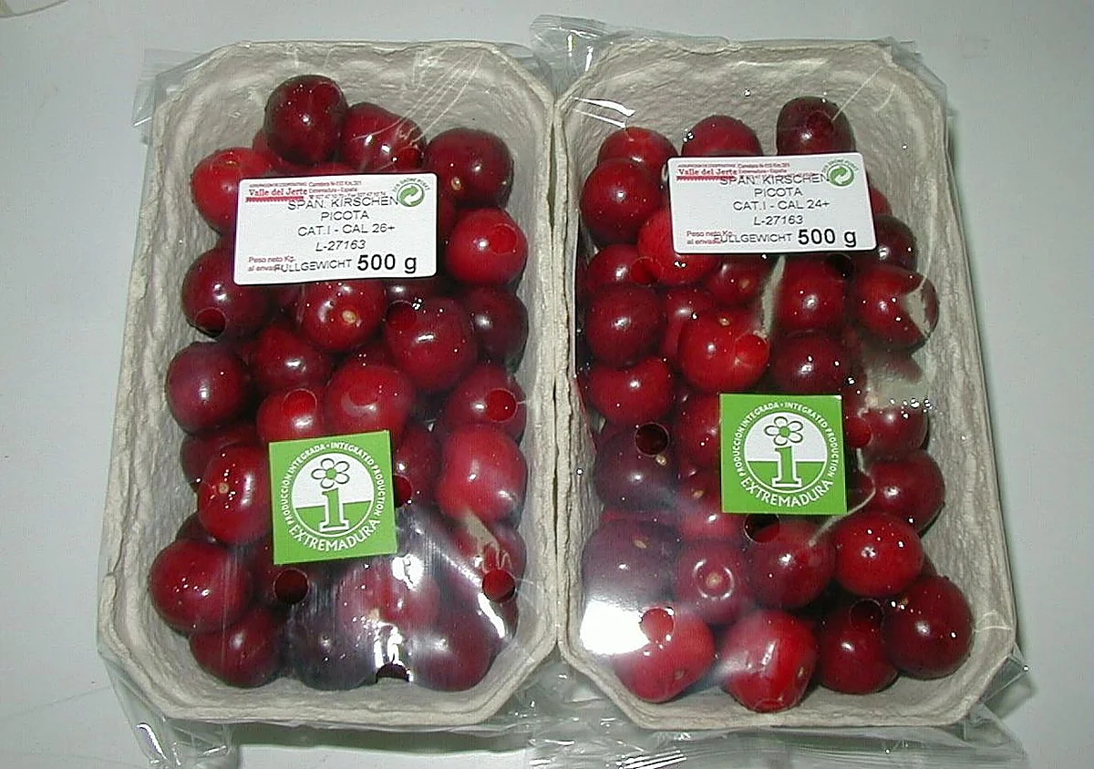 The cherry season