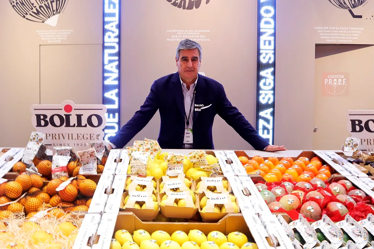 Bollo factura 518 millones y aumenta el beneficio un 18%