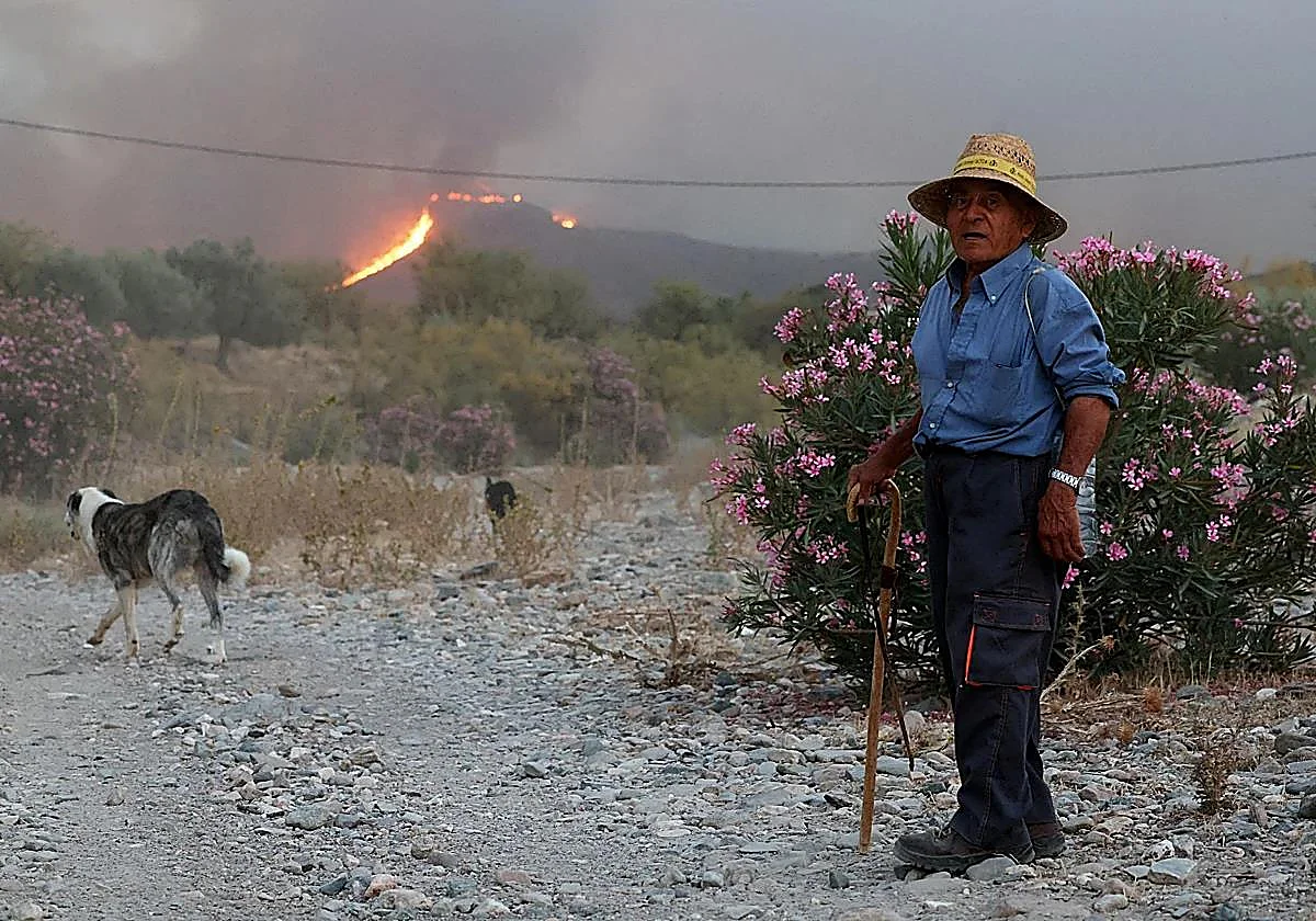 Almería amanece con un hilo de esperanza en Los Gallardos con los medios aéreos de vuelta contra el fuego