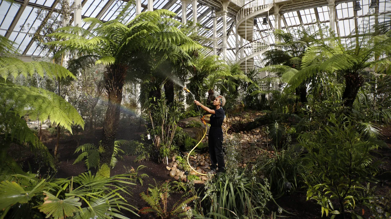 Más de 30 000 especies de plantas y hongos están en peligro de extinción. Así es como la tecnología puede ayudar a protegerlas