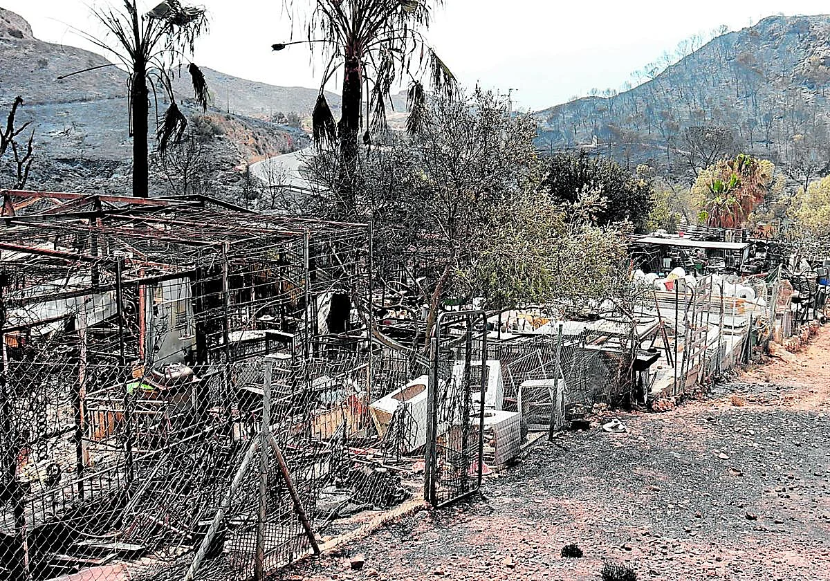Los bomberos aprovechan la caída del viento para 'atacar' las llamas en Los Gallardos y congelar el perímetro