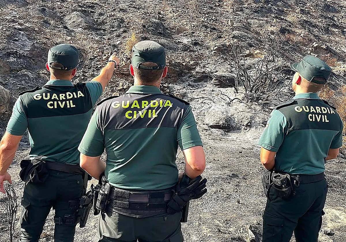 British tourists rescued in Almeria fire: ‘They begged us to save them because they wanted to see their children again’