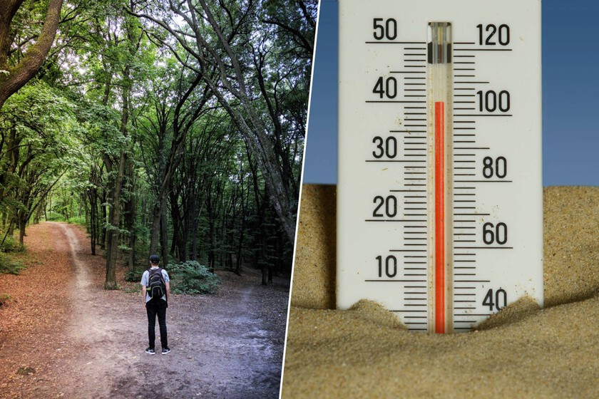No eres tú, es el termómetro: no tomes decisiones importantes en ola de calor