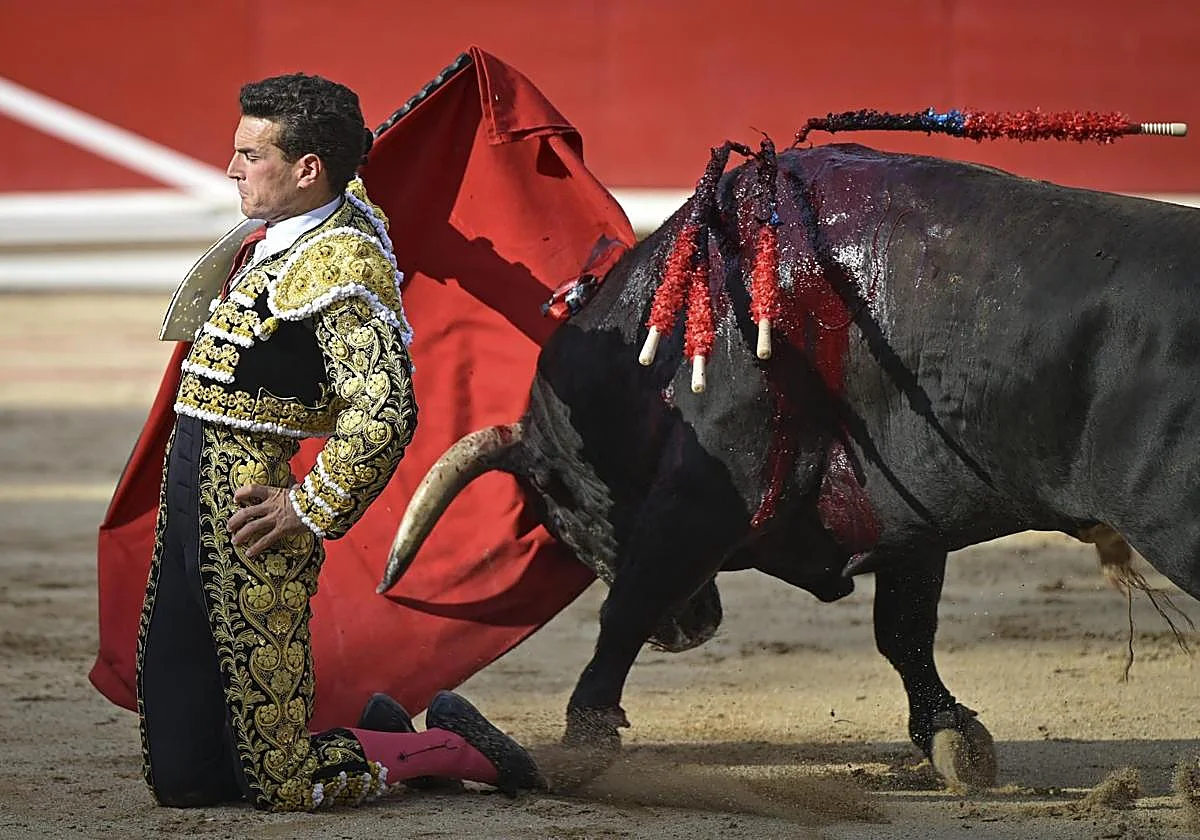 Distinguida corrida de La Palmosilla