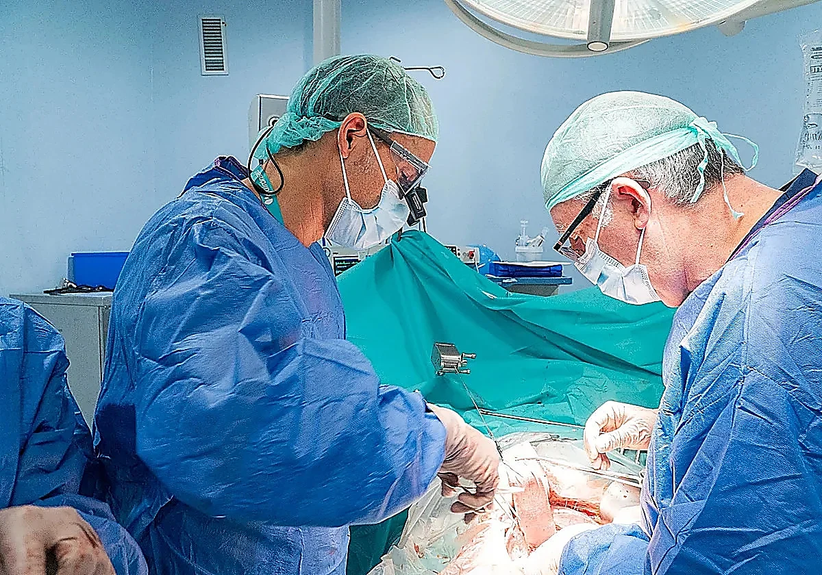 Malaga oncologists test ground-breaking drug that sheds light on pancreatic cancer