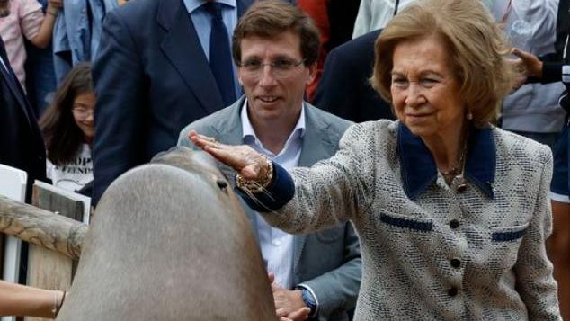 Almeida estudia sacar a concurso el Zoo Madrid en una concesión única o junto al Parque de Atracciones