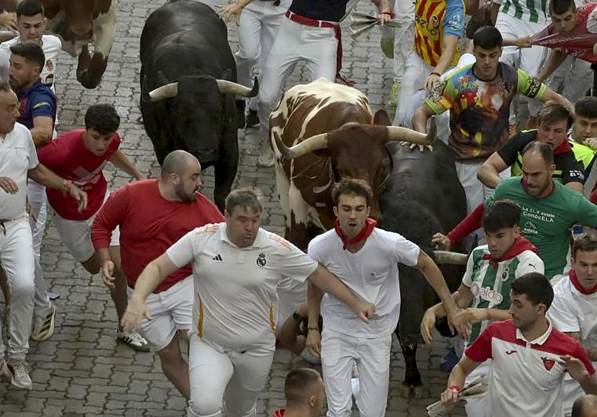 86-year-old among injured in Pamplona bull run