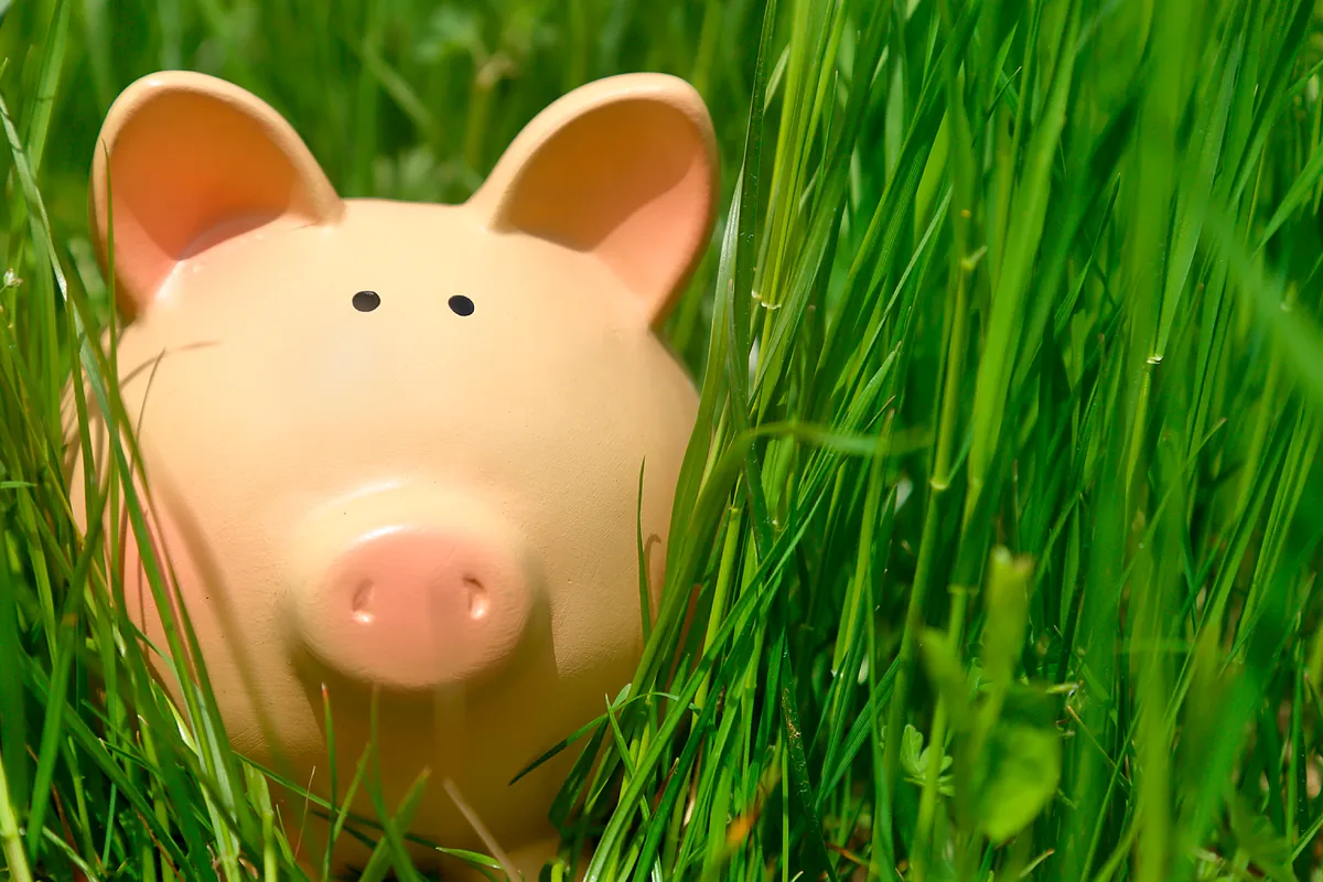 Qué banco te da más dinero si tienes 5.000 euros ahorrados
